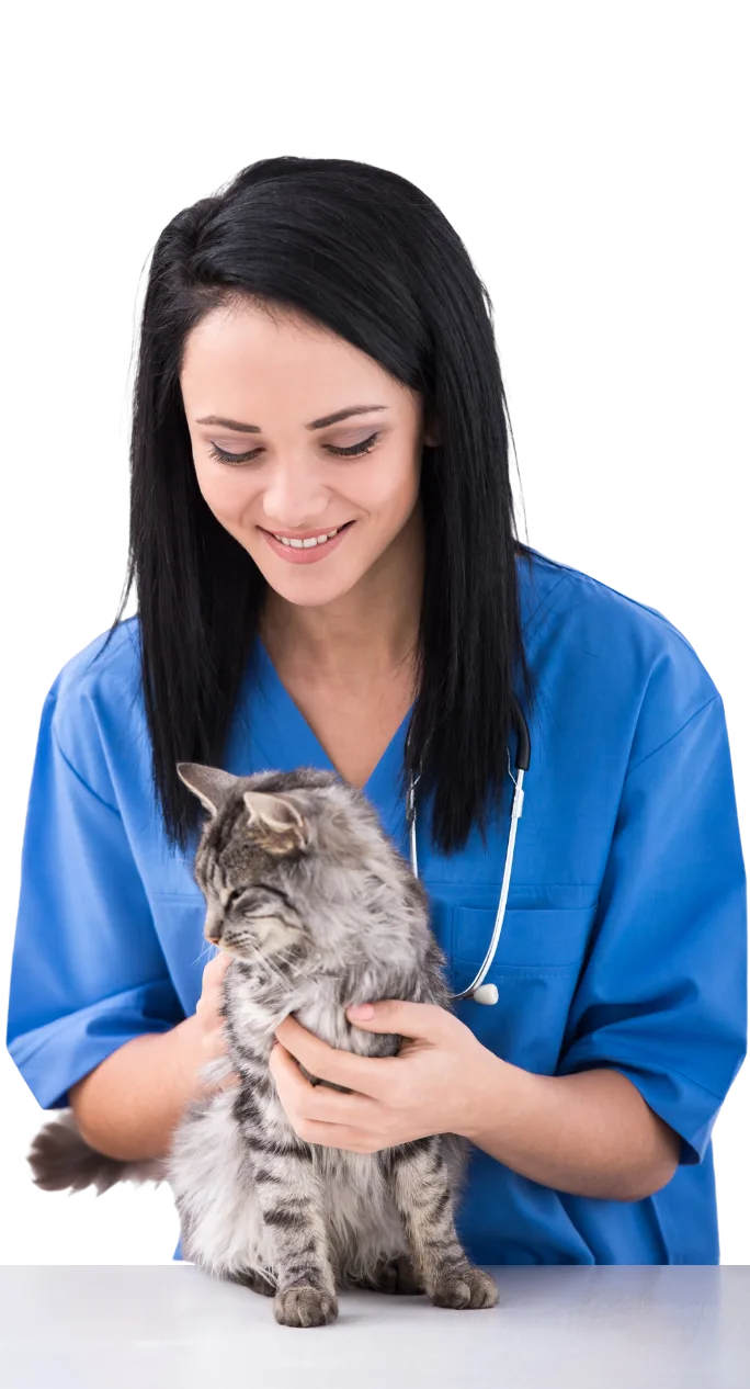 friendly smiling male doctor
