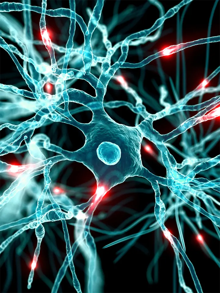 energized neuron network