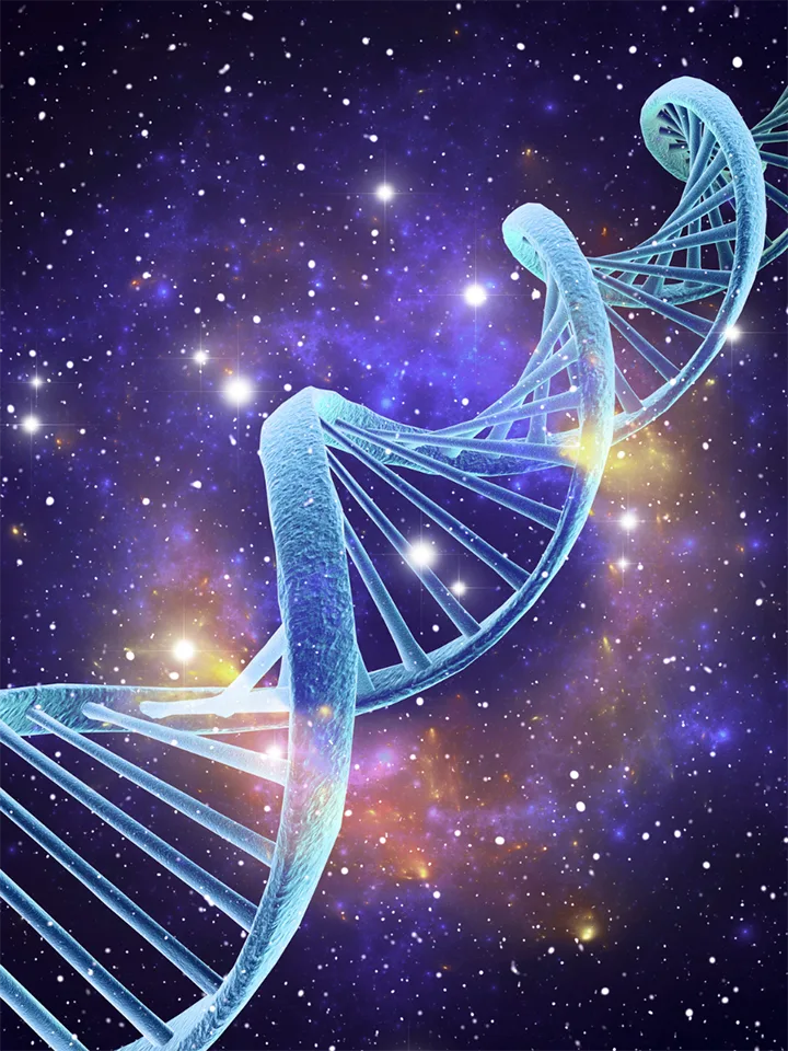 DNA in space